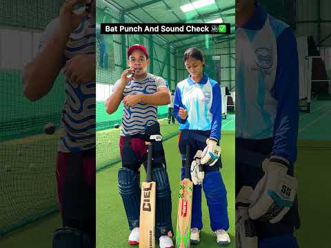 Leather Cricket Bat Punch Test | Player Edition vs Expensive Brand | Ciel Sports