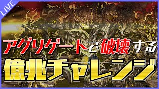 【生配信】アグリゲートはアグリゲートで破壊する億兆チャレンジ【パズドラ】