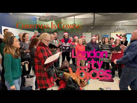 Christmas Is Coming - LCV in the wild