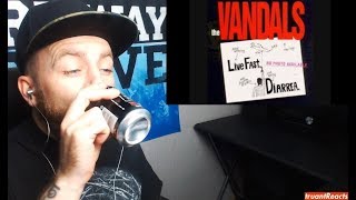 The Vandals - Happy Birthday to Me - REACTION!
