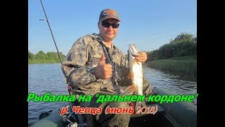 Что клюет в июне на чепце