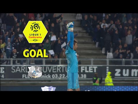 Goal Vahid SELIMOVIC (86' csc) / Amiens SC - FC Metz (2-0) (ASC-FCM) / 2017-18
