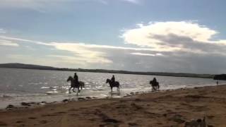 preview picture of video 'Oldcourt Stables Beach Ride - Canter'