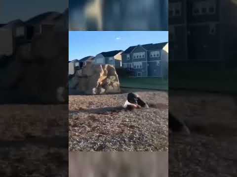 Mitula Edit #12   funny videos 🥳   #funny #meme #shorts