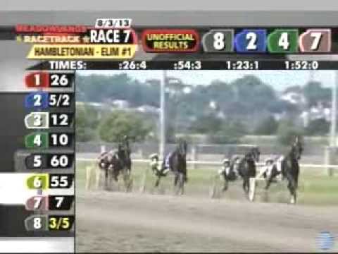 2013 Hambletonian Elim #1 - theharnessedge.com