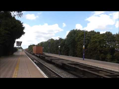 Colas class 60 + DRS+Freightliner class 66 and Cholsey 6.8.14