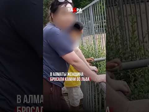 В Алматы женщина бросала камни во льва