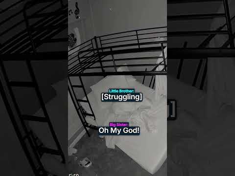 Bunk Bed Breaks During Sleep!