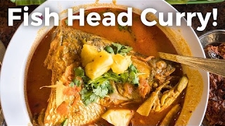 Fish Head Curry in Singapore - Giant Fish Head, Amazing Singaporean Food! - YouTube