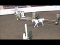 My White Light at Harrisburg Horse Show 2014 PreChildrens Pony Hunter 1st trip