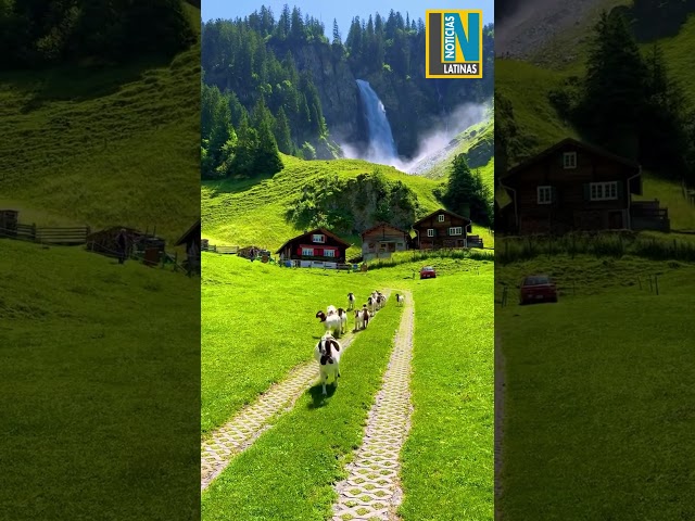 Vídeo relacionado con Aoihrraan 2,2x1,5m Europeo Alpes Paisaje Fondo Suizo Montañas Verde Bosque Pradera Azul Cielo Resort Fotografía Fondo Vacaciones Viajes Fiesta Boda Retrato Fondos De Pantalla Foto Estudio Accesorios