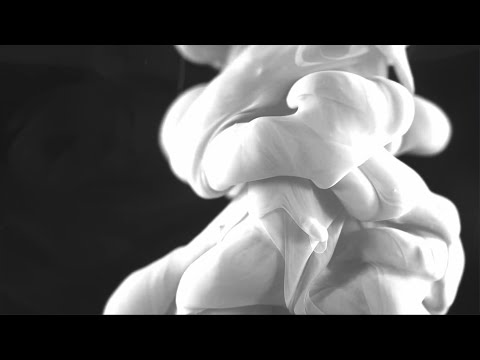 Adult Bodies - Forever Young   (Visual Video)