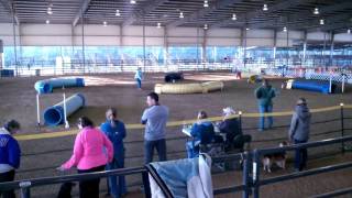 Destin Slinky Challenge February 13 2016