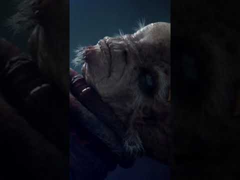 "Your pal. Where's he going?"