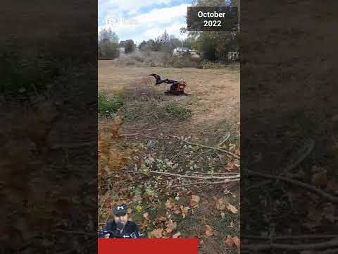 Cleared lot, Removed Brush & Small Trees - 2022-183 Patty J