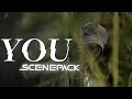 YOU Joe Goldberg Scene Pack 4k Like Quality Motion Tracking