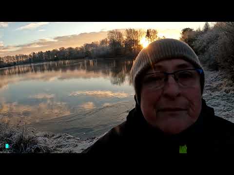 Koi und Fische bei kalten Temperaturen - was passiert - SUHO#1005