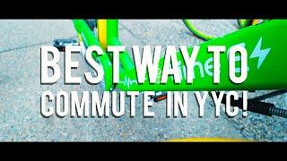 Lime Bikes, Faster and Cheaper than UBER  || Calgary Alberta