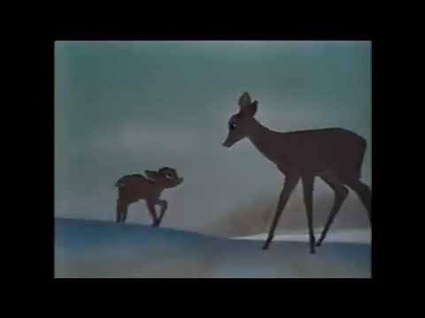 Magic English "Changing Seasons" Part 1