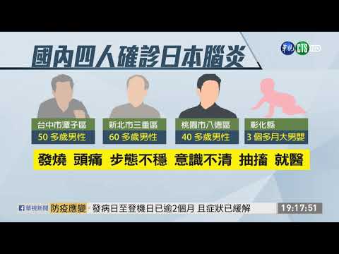 新增4日本腦炎病例 最小僅3個月大