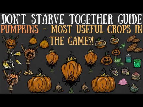 Don't Starve Together Guide: Pumpkins - Most Useful Crops?! - Giants, Nutrients & More