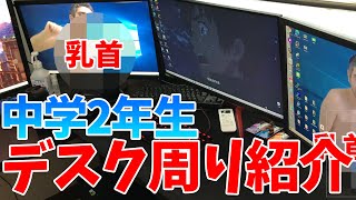 中学2年生【14歳】のデスクトップ周り紹介！ 【総額○○万円/デスク周り紹介】