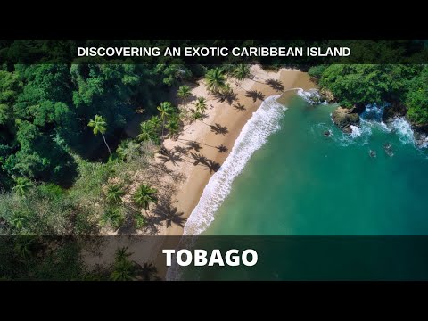 Discovering Tobago - A month in Paradise (4K)