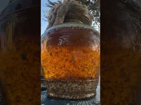 Exploring Water Soluble Calcium: A Key to Regenerative Ag Practices