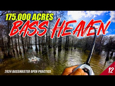 175,000 Acres of BASS HEAVEN - Bassmaster Open Santee Cooper (Practice) - UFB S4 E12