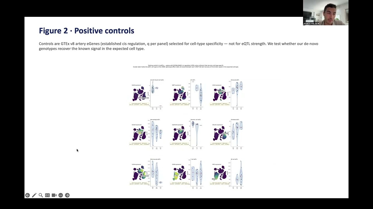 The Gene Team project preview