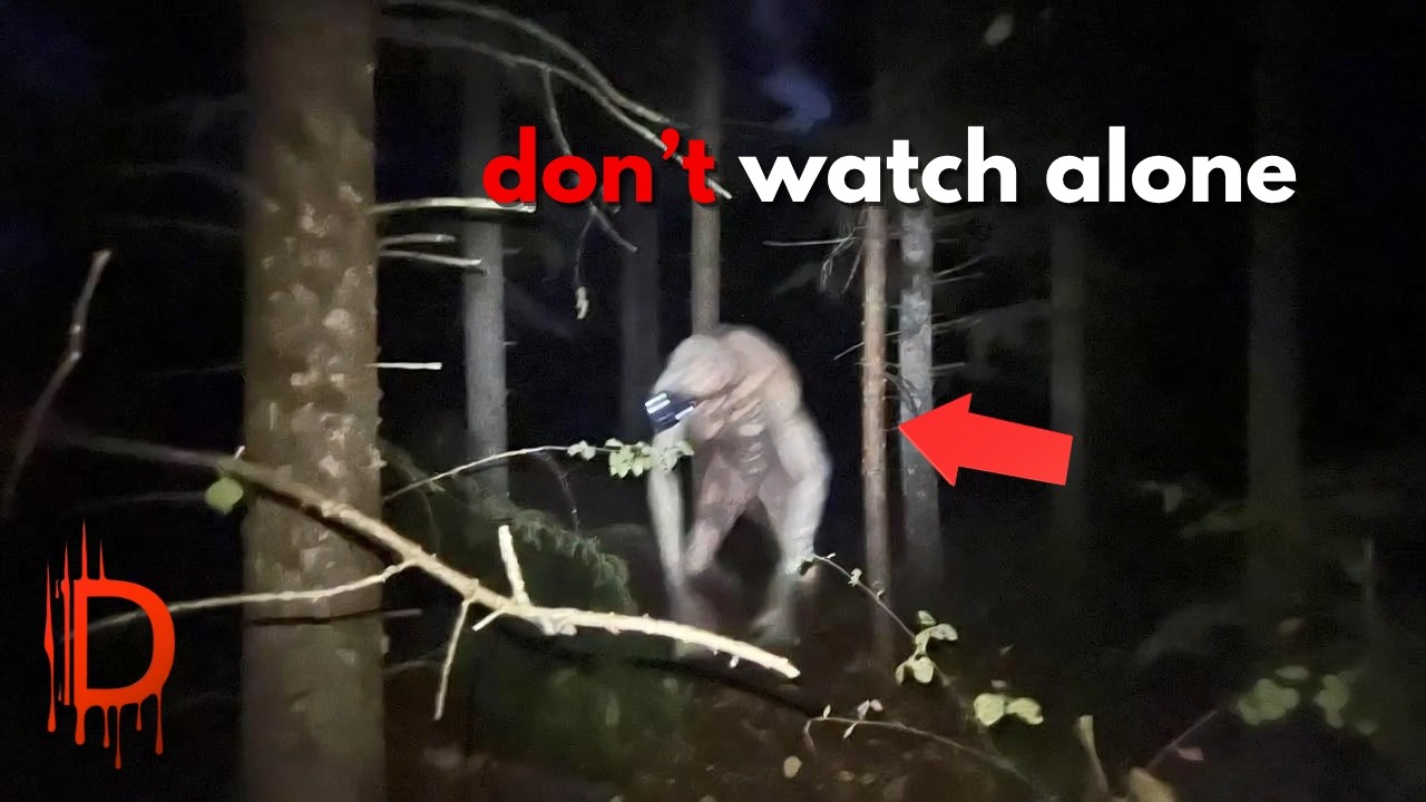 Campers Captured Something TERRIFYING Between the Trees