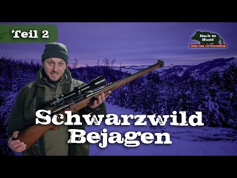 Ansitz auf Schwarzwild | Teil 2 | Jagd im Mondschein