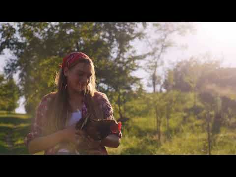 YouTube Short