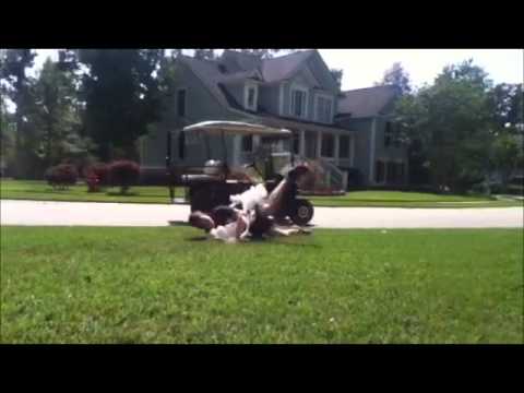 Direct TV Commercial - Get rid of your Phone Service