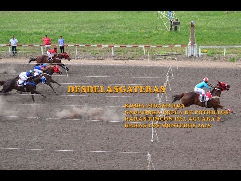 KIMBA FIDASH RDA - Final  P. Potrillos Rincon del Aguará y H Los Monteros C, Cuatia 07.10.18