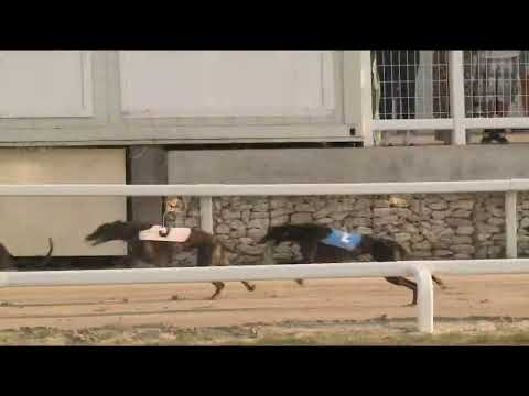 2022.07.01. 01. futam - Kincsem Park Sprint Derby Invitation