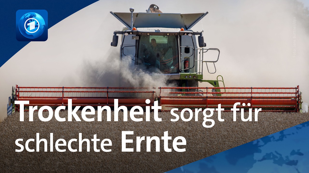 Landwirt klagt über Ernteausfälle: "Ich mache mir definitiv Sorgen"