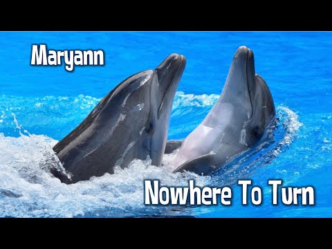 No Where To Turn
