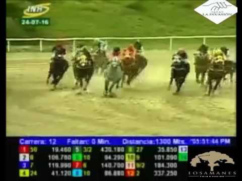 LA RINCONADA 12 CARRERA, DOMINGO 24 DE JULIO DEL 2016