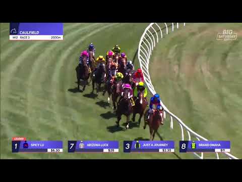 Ethereal Stakes 2025 - SPICY LU (3YOF SW G3) Group 3 Caulfield 18 October