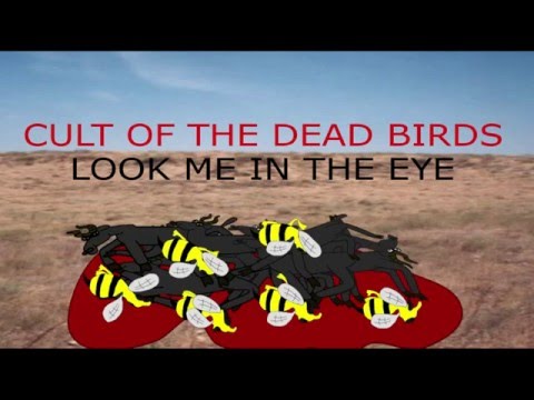 Cult of the dead birds  - Look me in the eye