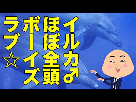 同性愛の動物はいますか? -