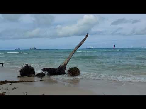 when to mirco Beach high tide wave