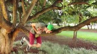 faze tari direct la tinta