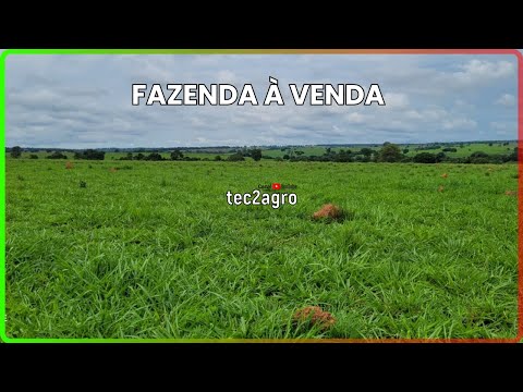 🌱 399 ALQ SÃO MIGUEL DO ARAGUAIA - FAZENDA À VENDA EM GOIÁS [DUPLA APTIDÃO] #fazenda #tec2agro #agro