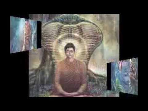 Thiloaga Raja / තිලො අග රාජා භව සැරිසරලා.. | Best Sinhala Songs