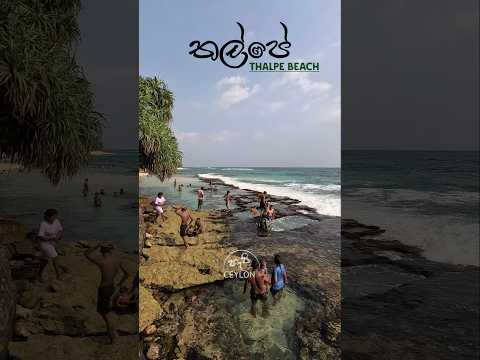 Thalpe Beach | Sri Lanka🇱🇰 #thalpe #beach #beachlife #shortsfeed #shorts #viralshorts #trending