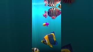 Behind Glass - Aquarium Simulator (Short) 4