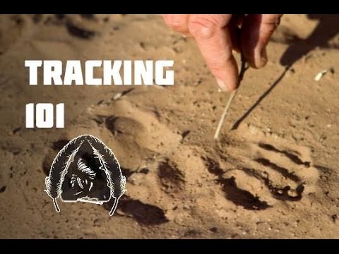 download lagu mp3 mp4 Tracking, download lagu Tracking gratis, unduh video klip Tracking