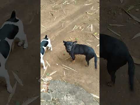 Um lugar de paz em Conceição do Araguaia